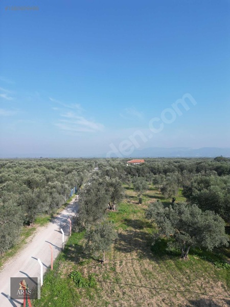 Aras Gayrimenkulden Efendi Mah. 3.380 M2 Sulu Hobi Bahçesi — fotoğraf 2