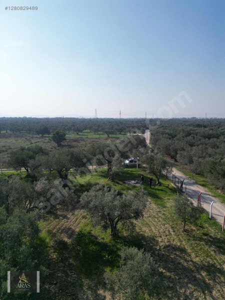Aras Gayrimenkulden Efendi Mah. 3.380 M2 Sulu Hobi Bahçesi — fotoğraf 3