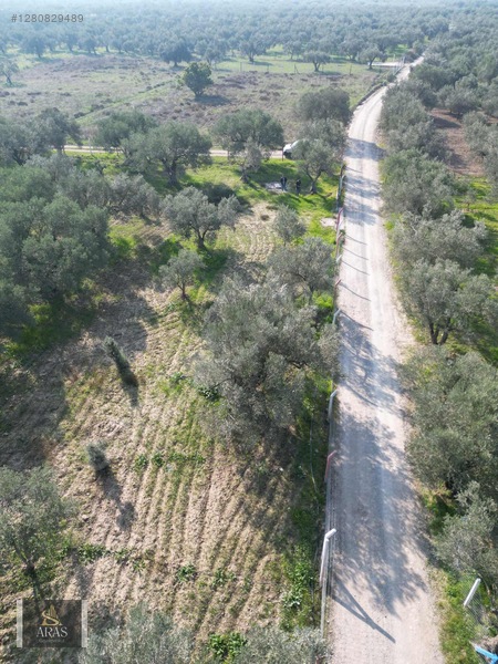 Aras Gayrimenkulden Efendi Mah. 3.380 M2 Sulu Hobi Bahçesi — fotoğraf 6