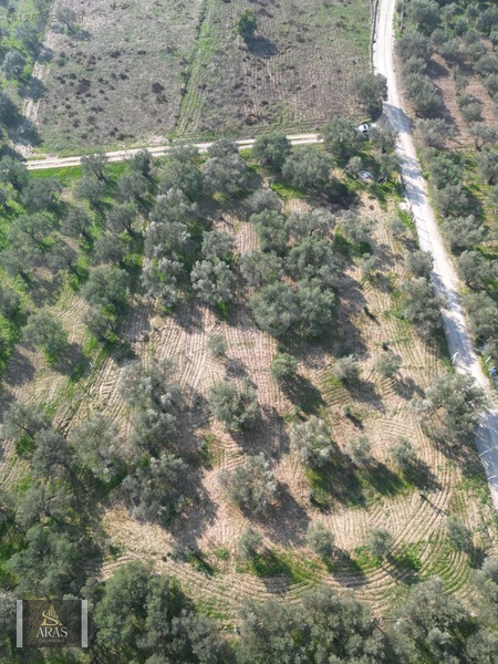Aras Gayrimenkulden Efendi Mah. 3.380 M2 Sulu Hobi Bahçesi — fotoğraf 8