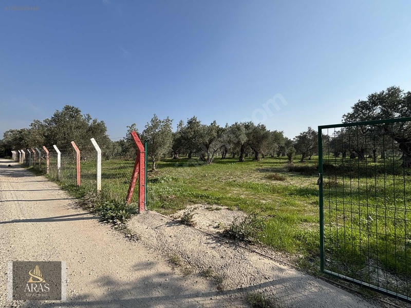 Aras Gayrimenkulden Efendi Mah. 3.380 M2 Sulu Hobi Bahçesi — fotoğraf 10