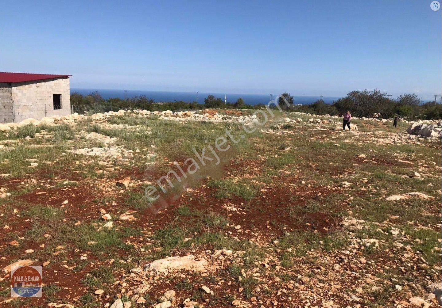 Narlıkuyu Hasanalilerde Satılık Tarla — fotoğraf 2