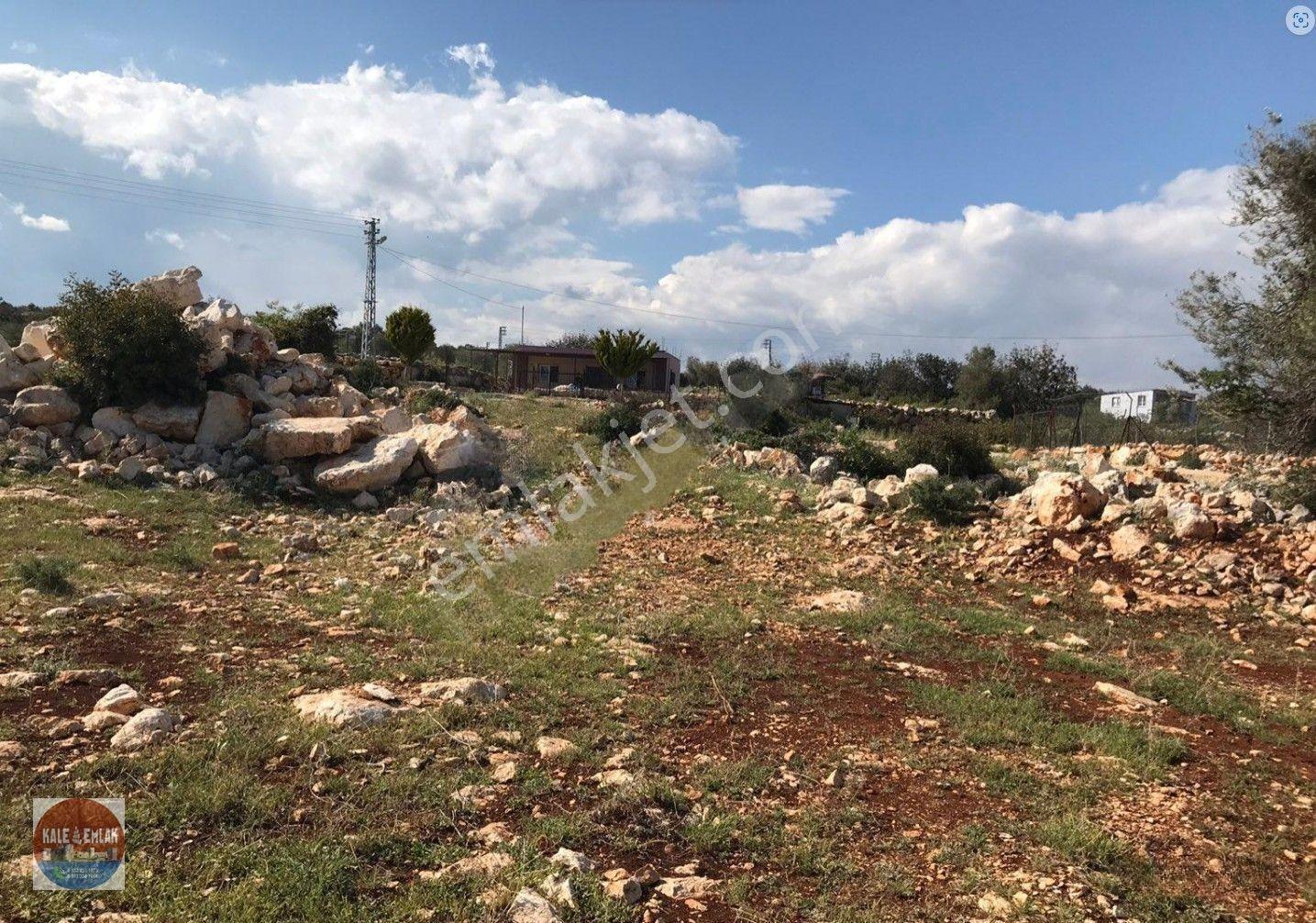 Narlıkuyu Hasanalilerde Satılık Tarla — fotoğraf 3