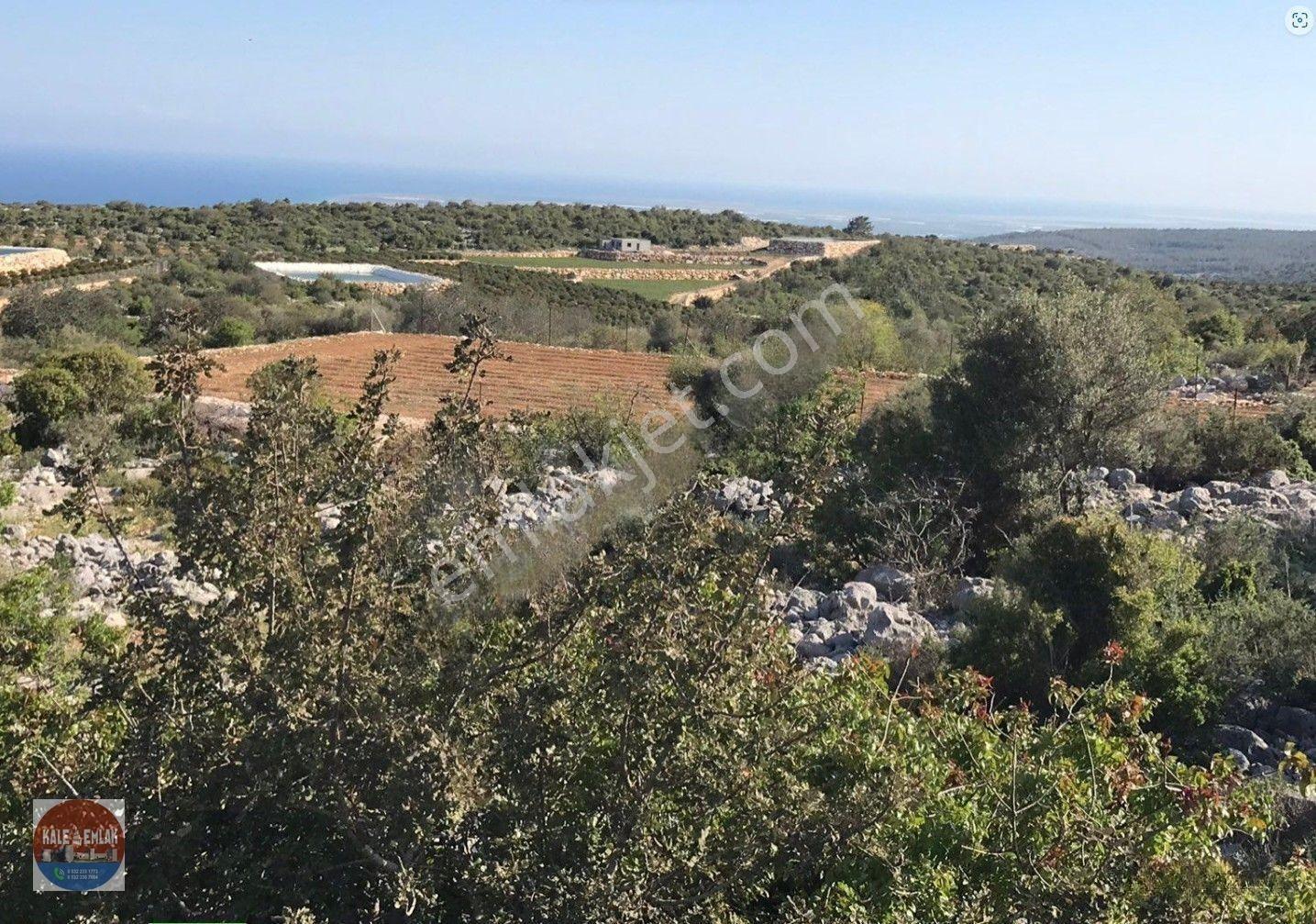 Narlıkuyu Hasanalilerde Satılık Tarla — fotoğraf 5