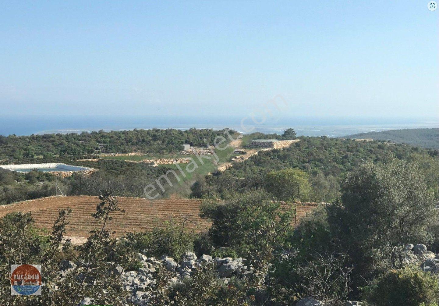 Narlıkuyu Hasanalilerde Satılık Tarla — fotoğraf 6