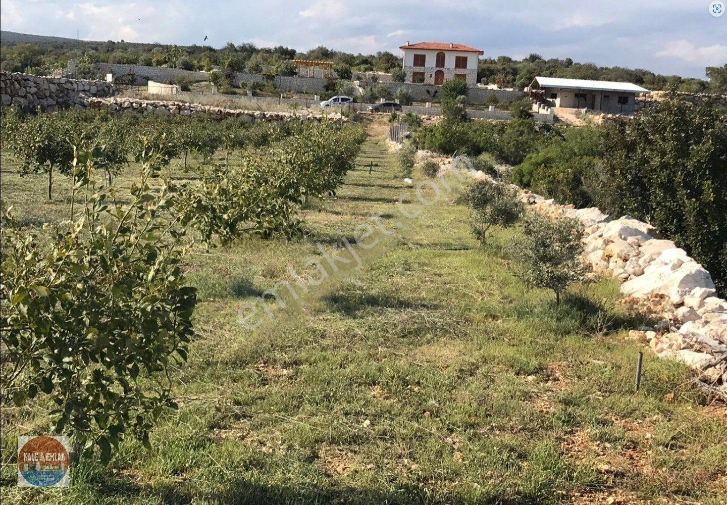 Narlıkuyu Hasanalilerde Satılık Tarla — fotoğraf 7