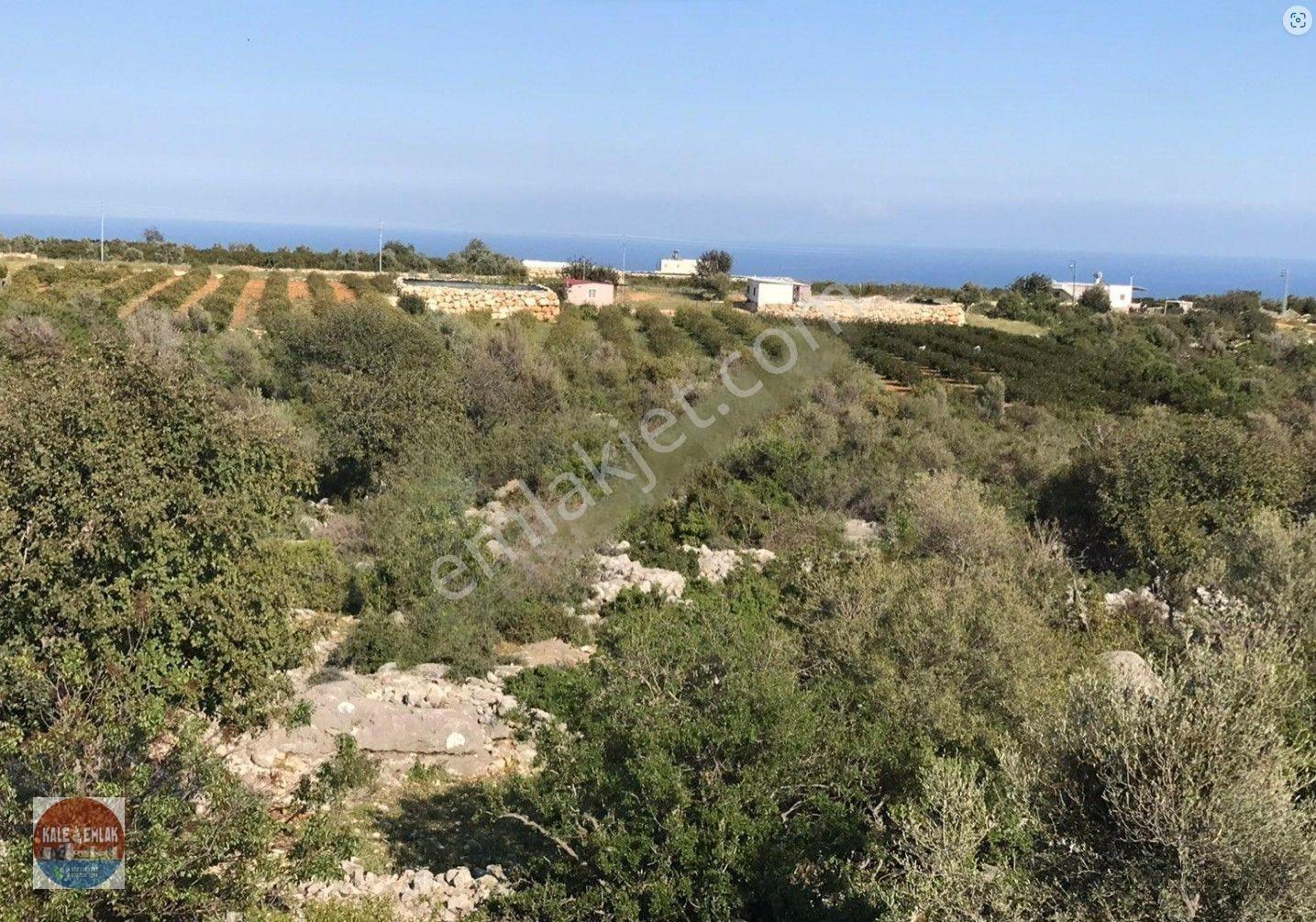 Narlıkuyu Hasanalilerde Satılık Tarla — fotoğraf 8