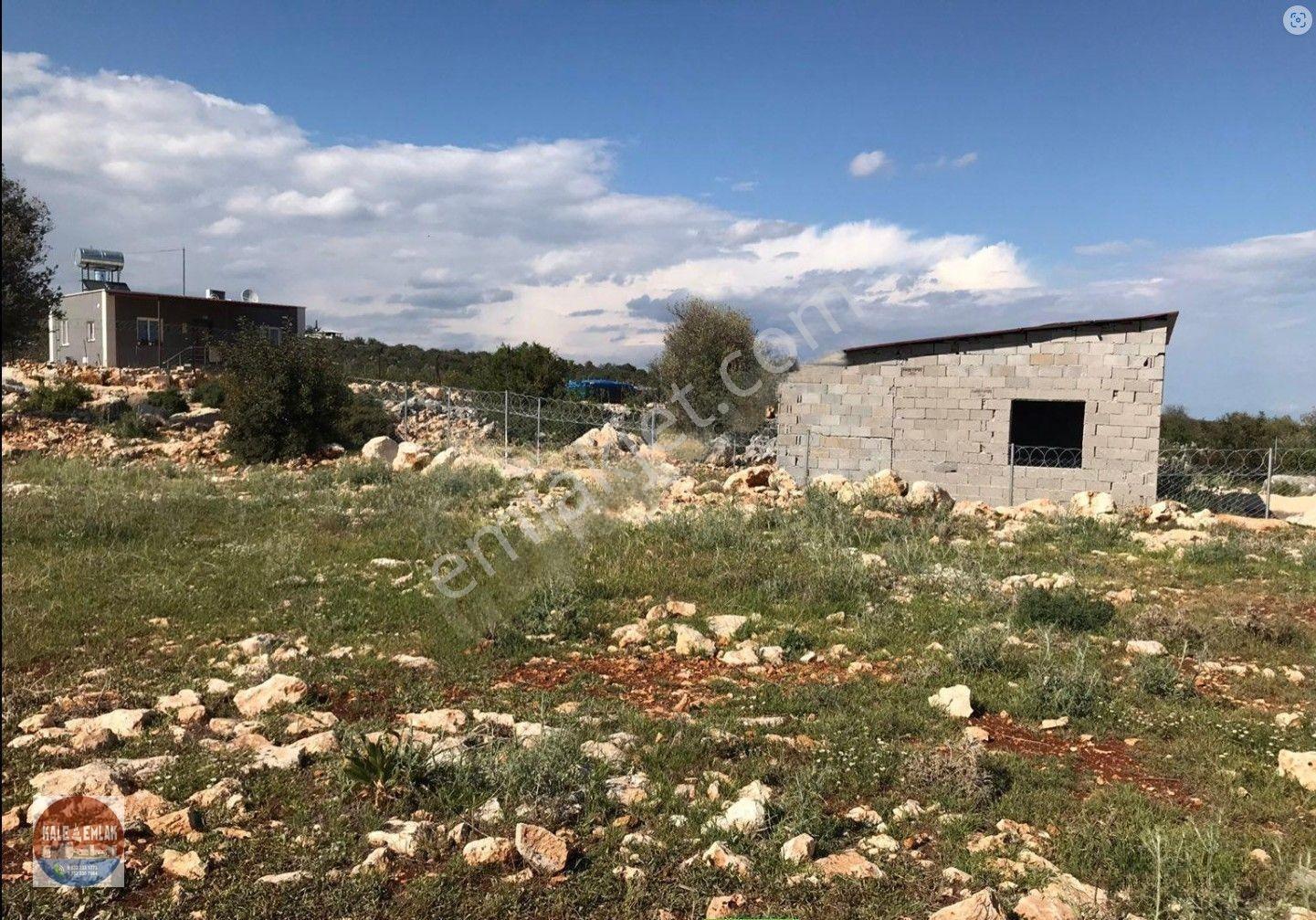 Narlıkuyu Hasanalilerde Satılık Tarla — fotoğraf 11