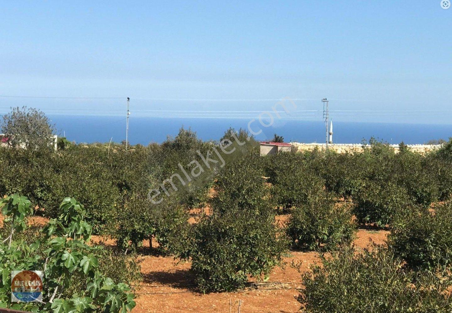 Narlıkuyu Hasanalilerde Satılık Tarla — fotoğraf 13