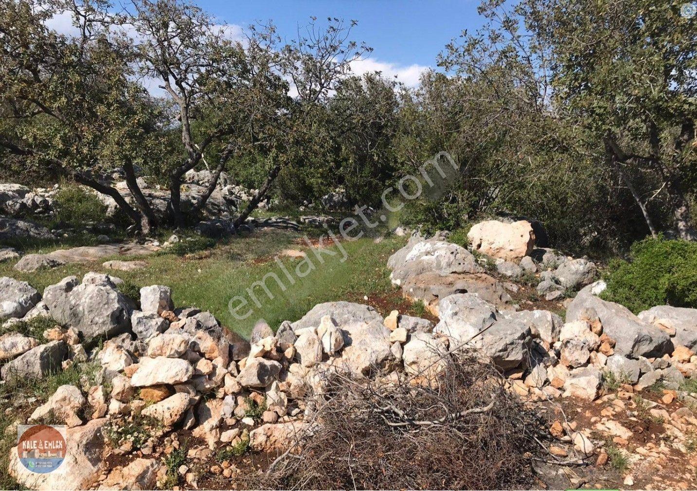 Narlıkuyu Hasanalilerde Satılık Tarla — fotoğraf 15