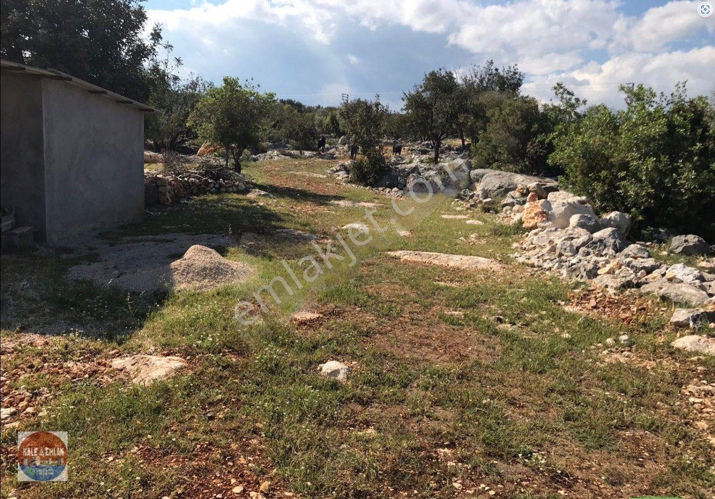 Narlıkuyu Hasanalilerde Satılık Tarla — fotoğraf 16
