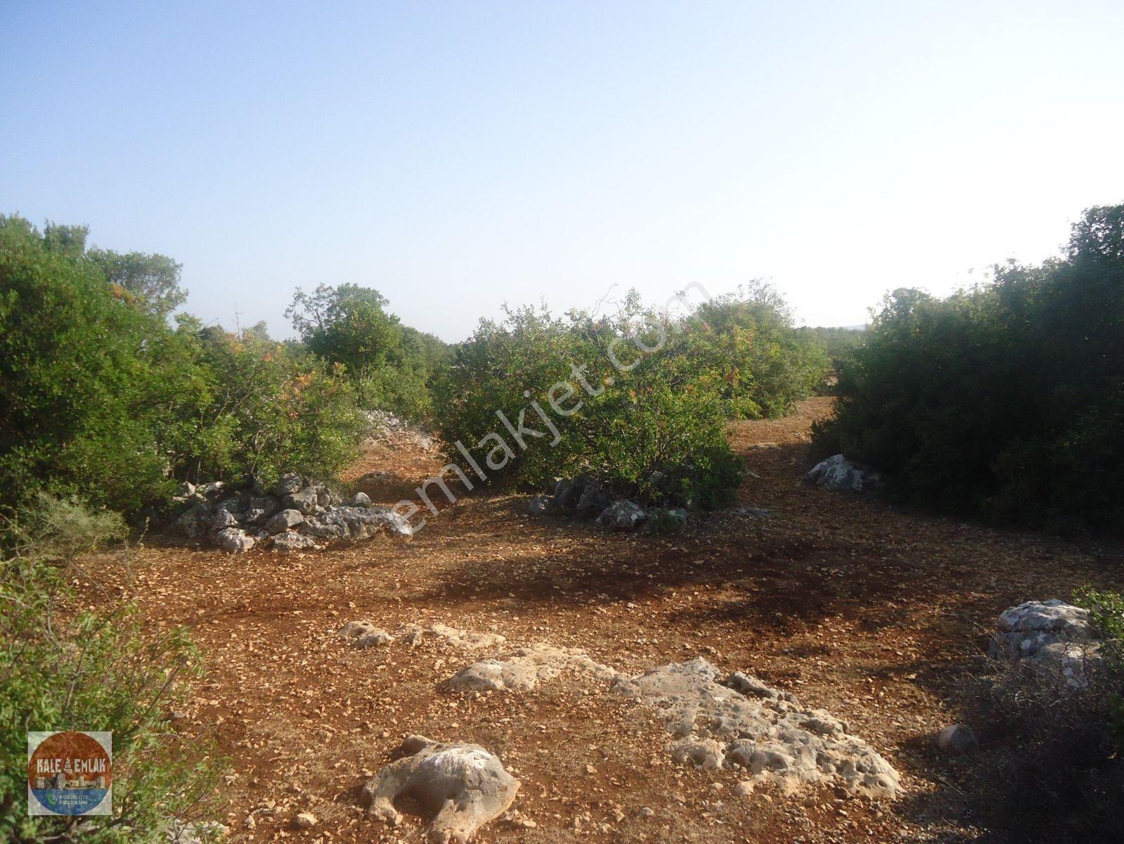 Cambazlı Dasatılık Deniz Manzaralı Yatırımlık Tarla