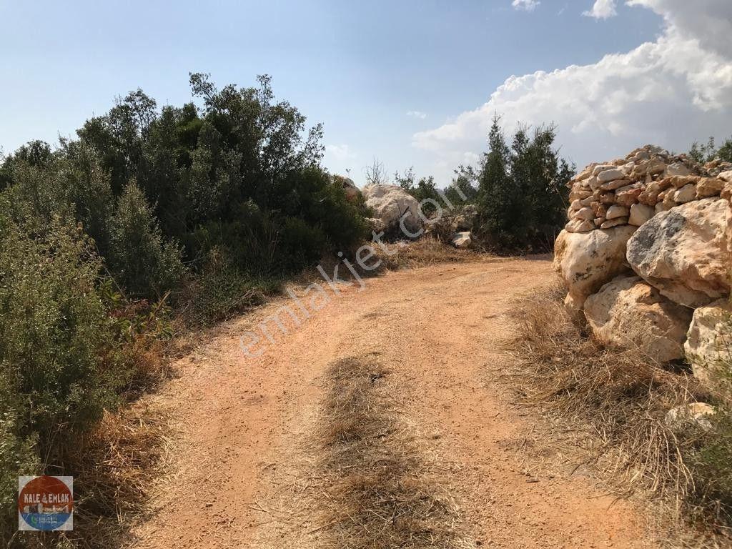 Cambazlı Dasatılık Deniz Manzaralı Yatırımlık Tarla — fotoğraf 3
