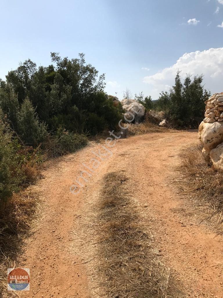 Cambazlı Dasatılık Deniz Manzaralı Yatırımlık Tarla — fotoğraf 4