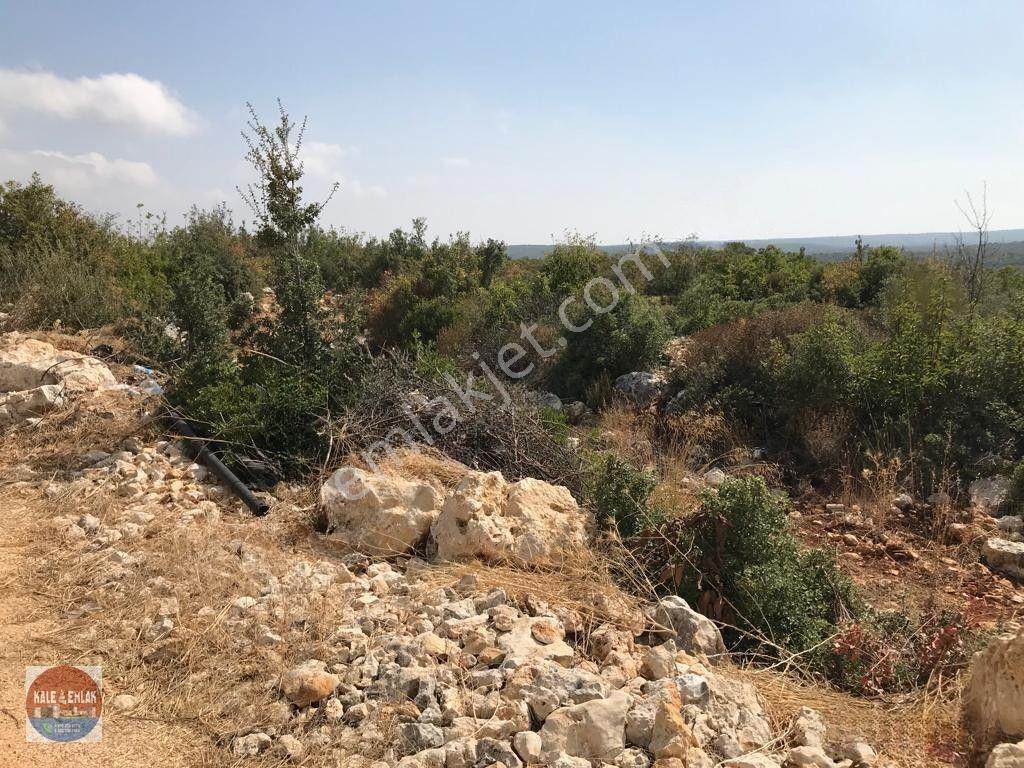 Cambazlı Dasatılık Deniz Manzaralı Yatırımlık Tarla — fotoğraf 7