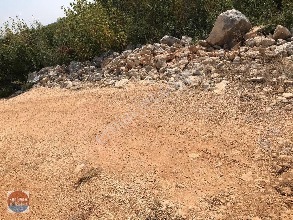 Cambazlı Dasatılık Deniz Manzaralı Yatırımlık Tarla — fotoğraf 8