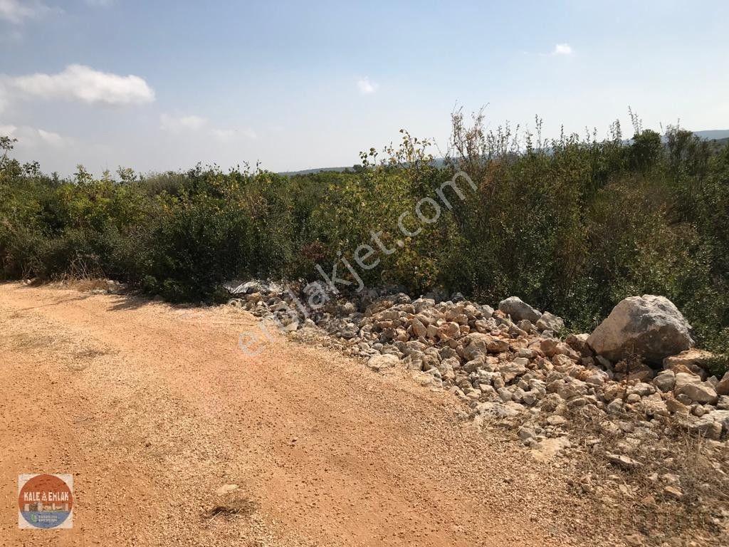 Cambazlı Dasatılık Deniz Manzaralı Yatırımlık Tarla — fotoğraf 9