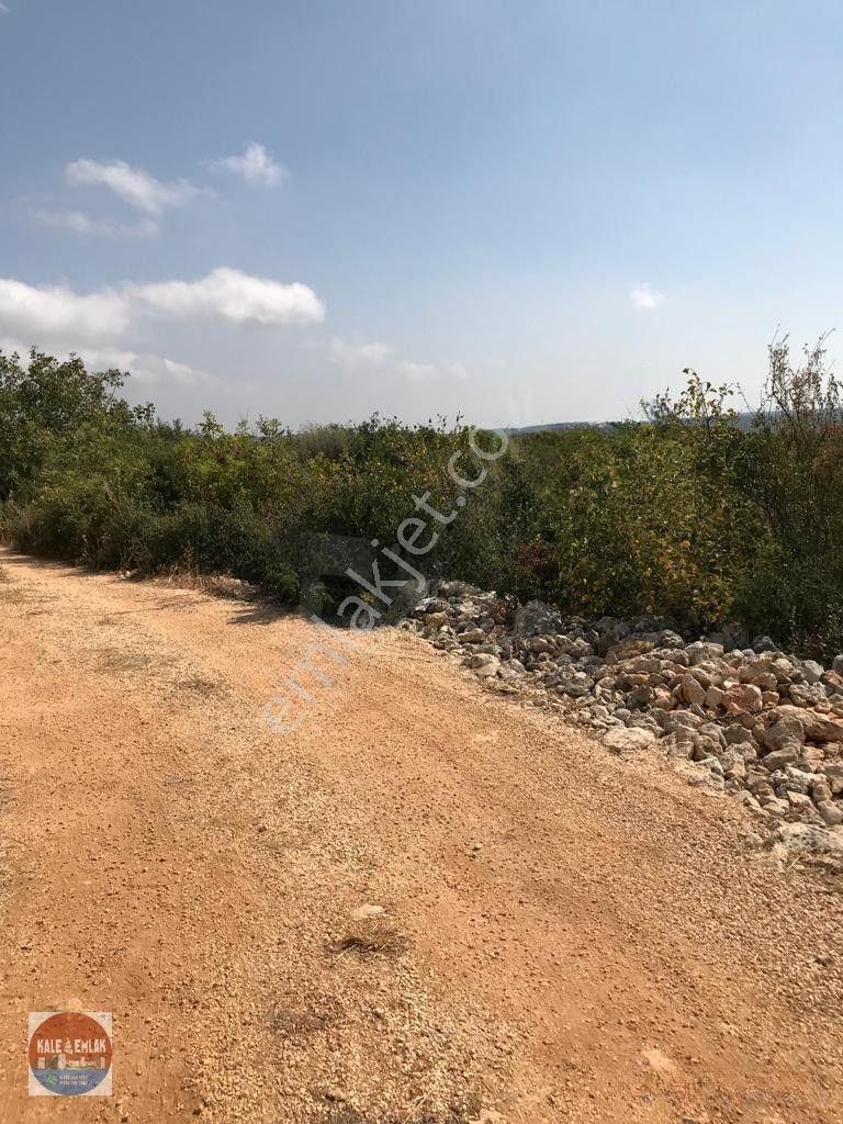 Cambazlı Dasatılık Deniz Manzaralı Yatırımlık Tarla — fotoğraf 10