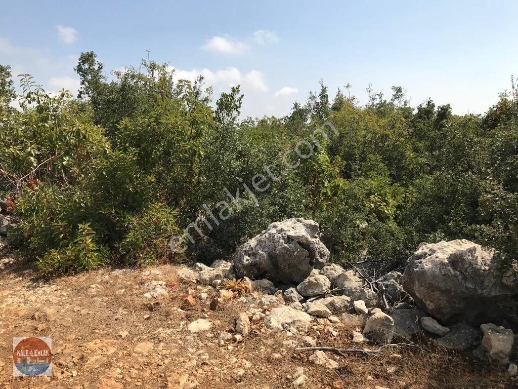 Cambazlı Dasatılık Deniz Manzaralı Yatırımlık Tarla — fotoğraf 16