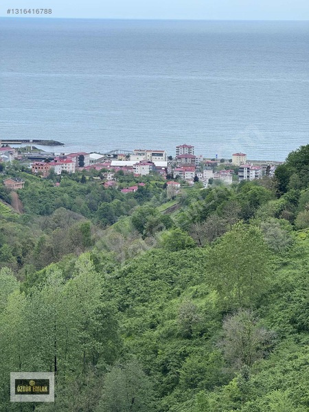 Özgür Emlaktan Deniz Manzaralı Çay Ve Fındıklık — fotoğraf 21