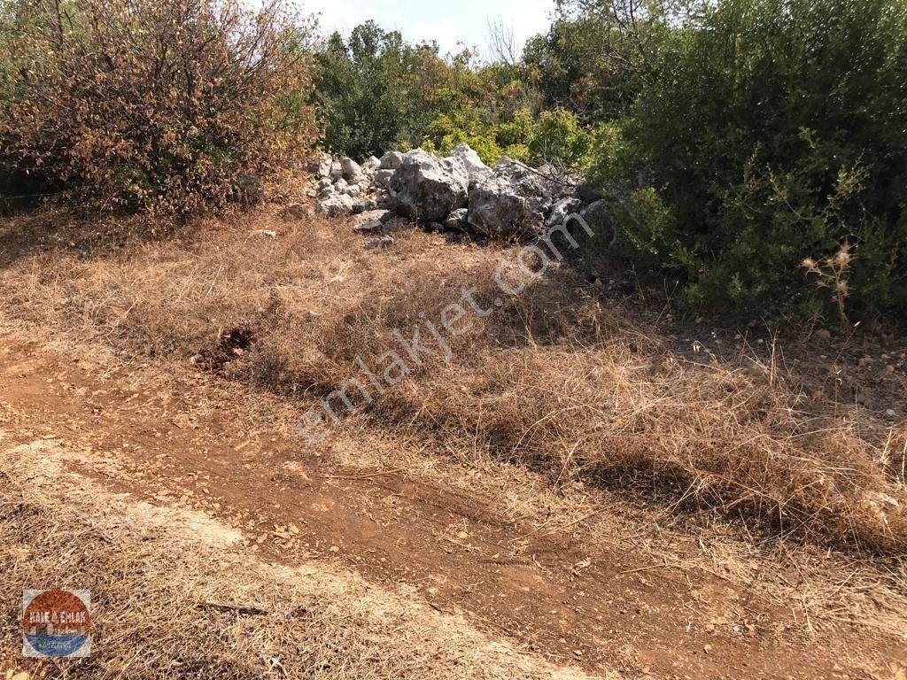 Hüseyinlerde Satılık Yatırımlık Tarla