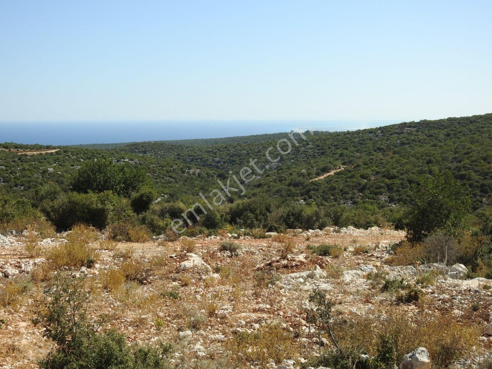 Hüseyinler De Deniz Manzaralı Yol Kenarı Satılık 3730 M2 Tarla!!! — fotoğraf 2
