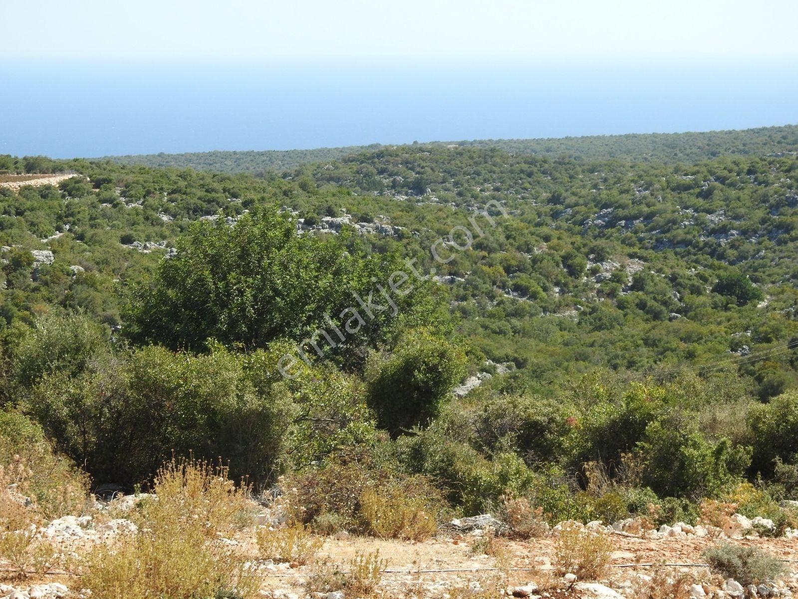 Hüseyinler De Deniz Manzaralı Yol Kenarı Satılık 3730 M2 Tarla!!! — fotoğraf 3