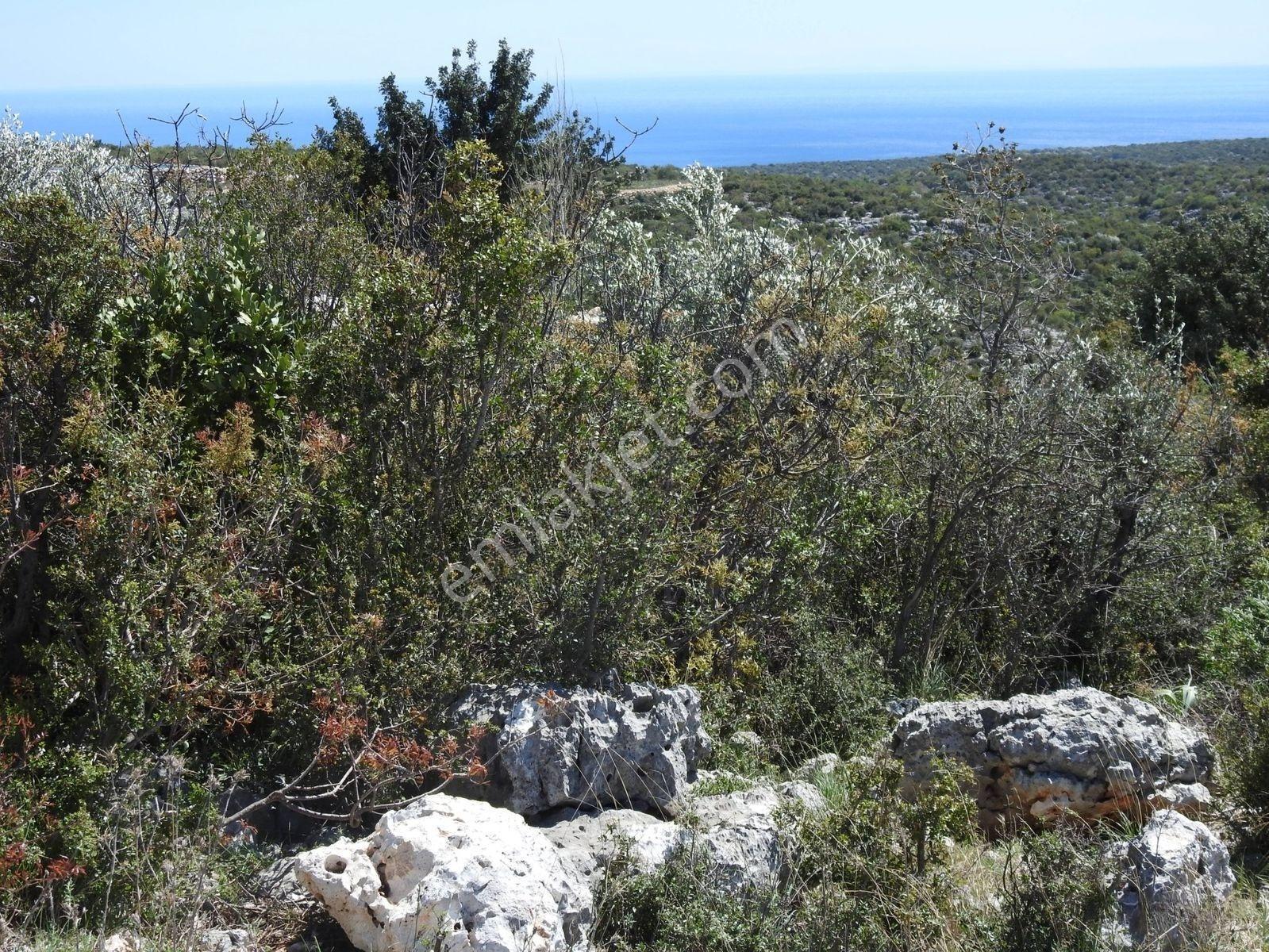 Hüseyinler De Deniz Manzaralı Yol Kenarı Satılık 3730 M2 Tarla!!! — fotoğraf 4