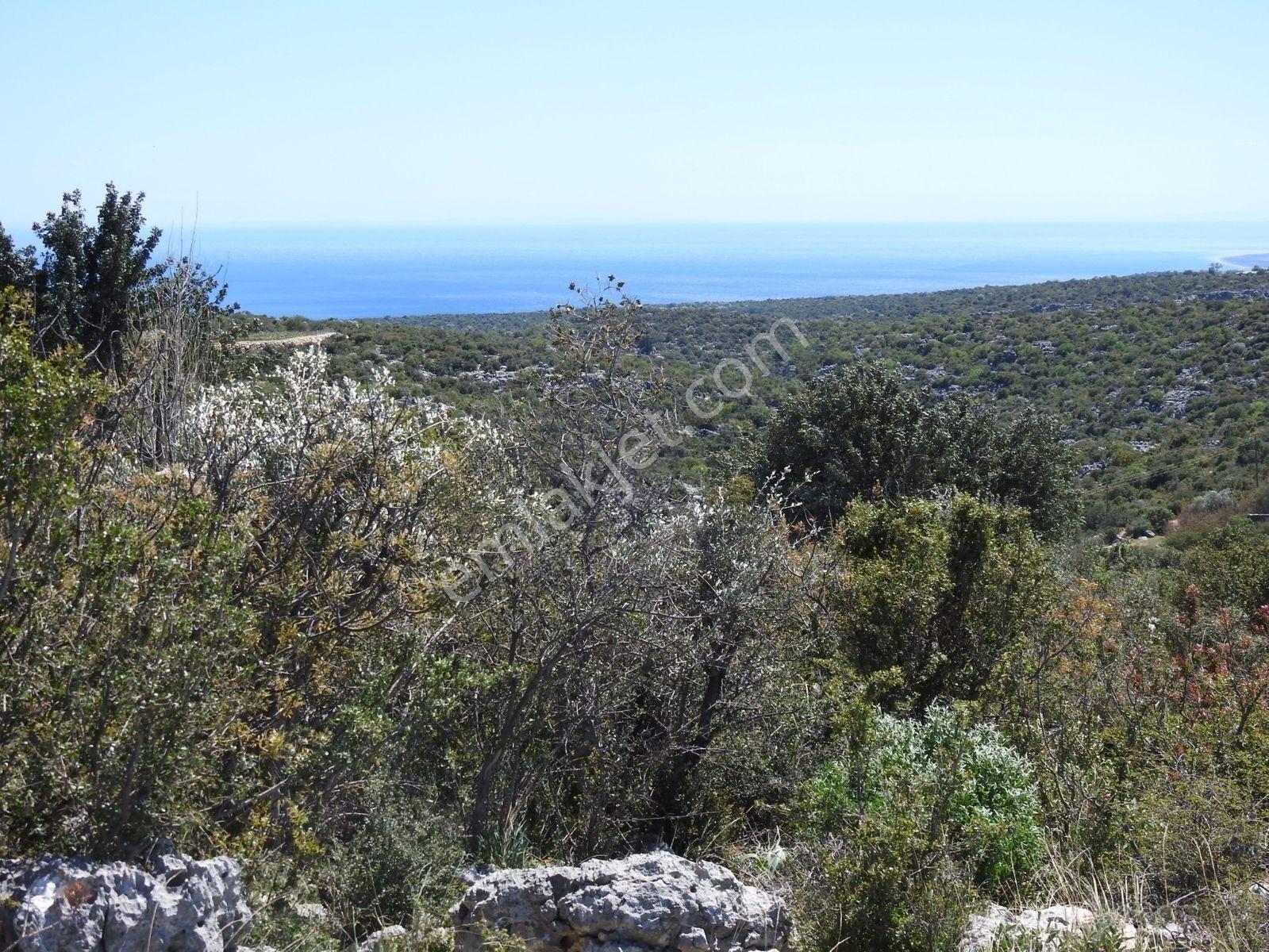 Hüseyinler De Deniz Manzaralı Yol Kenarı Satılık 3730 M2 Tarla!!! — fotoğraf 5