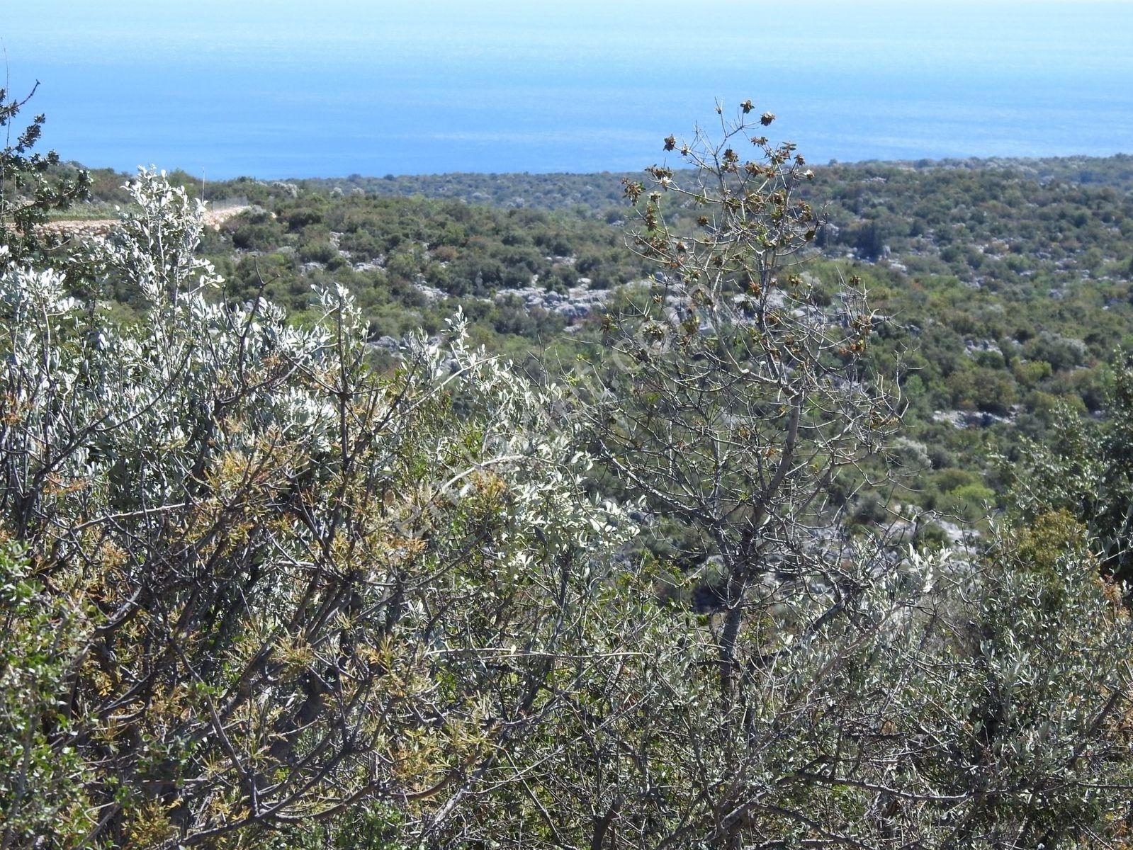 Hüseyinler De Deniz Manzaralı Yol Kenarı Satılık 3730 M2 Tarla!!! — fotoğraf 6