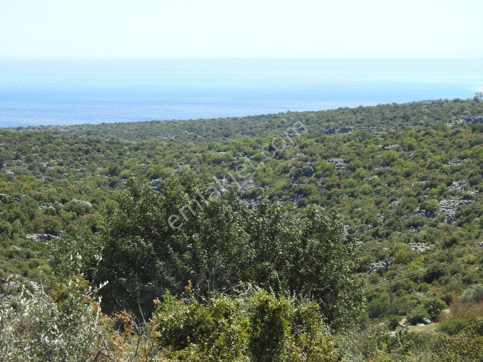 Hüseyinler De Deniz Manzaralı Yol Kenarı Satılık 3730 M2 Tarla!!! — fotoğraf 7