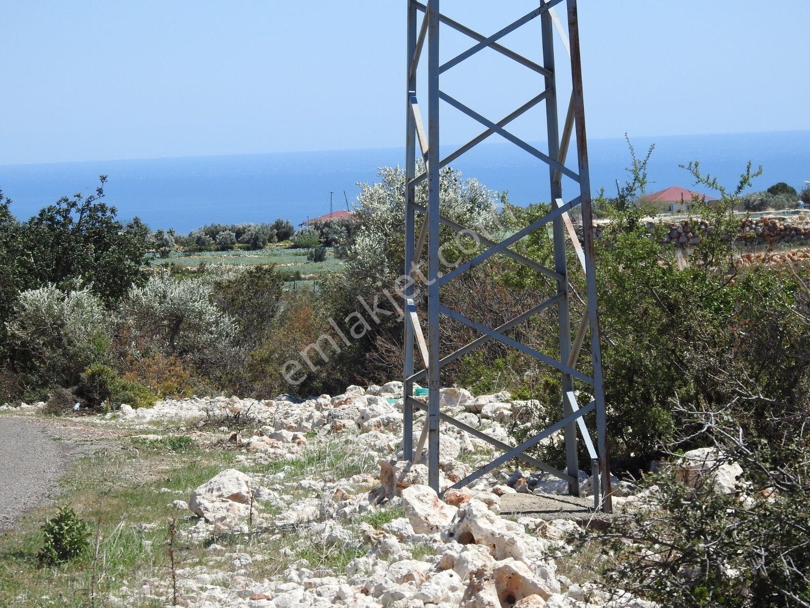Hüseyinler De Deniz Manzaralı Yol Kenarı Satılık 3730 M2 Tarla!!! — fotoğraf 8