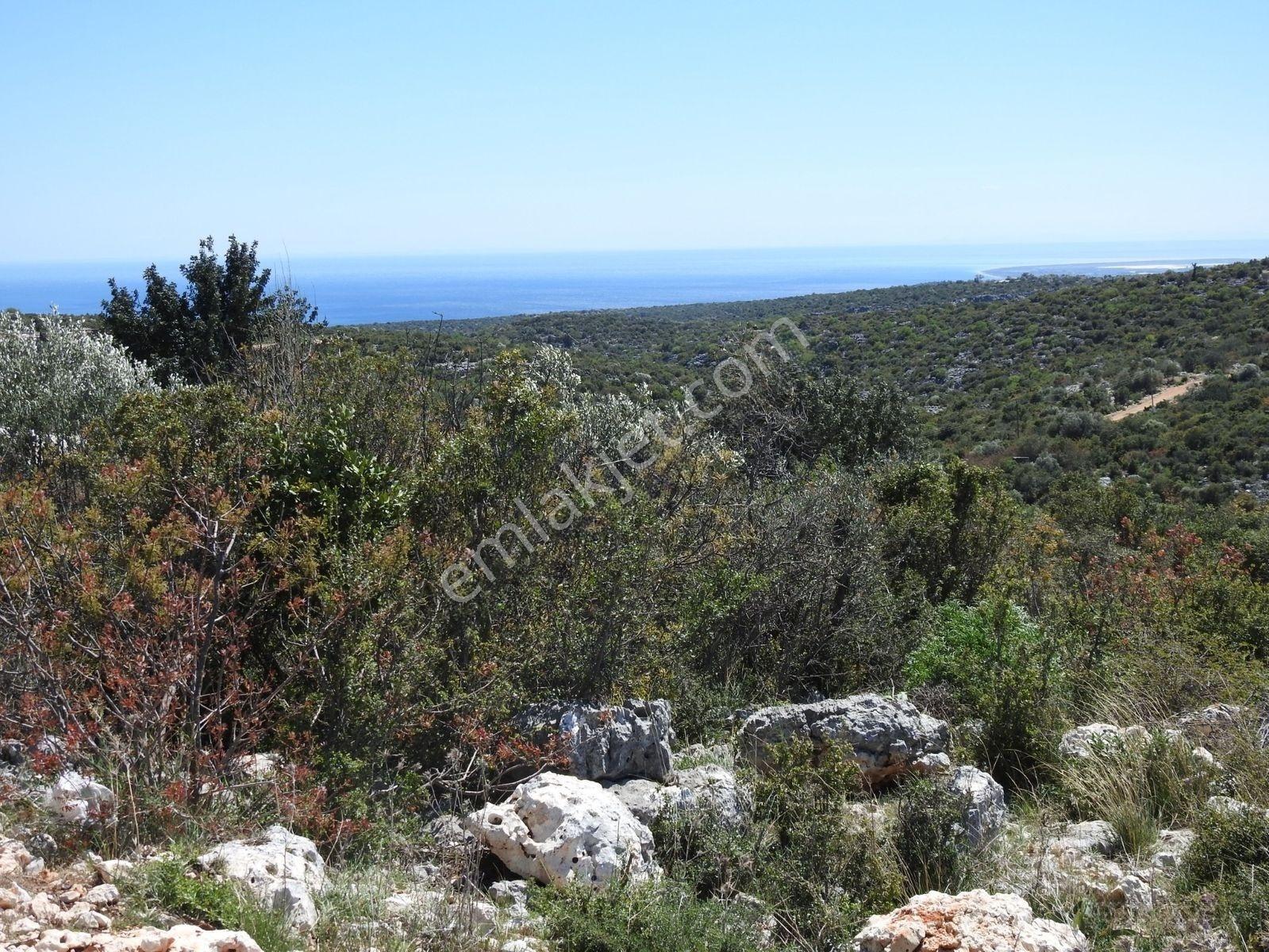Hüseyinler De Deniz Manzaralı Yol Kenarı Satılık 3730 M2 Tarla!!! — fotoğraf 9