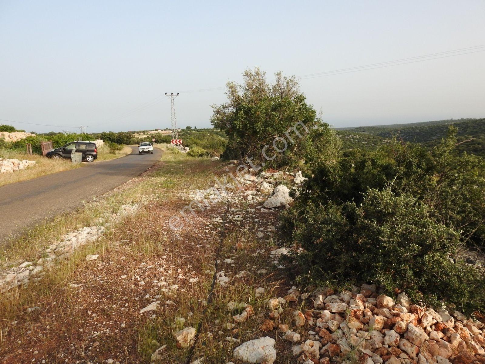 Hüseyinler De Deniz Manzaralı Yol Kenarı Satılık 3730 M2 Tarla!!! — fotoğraf 10