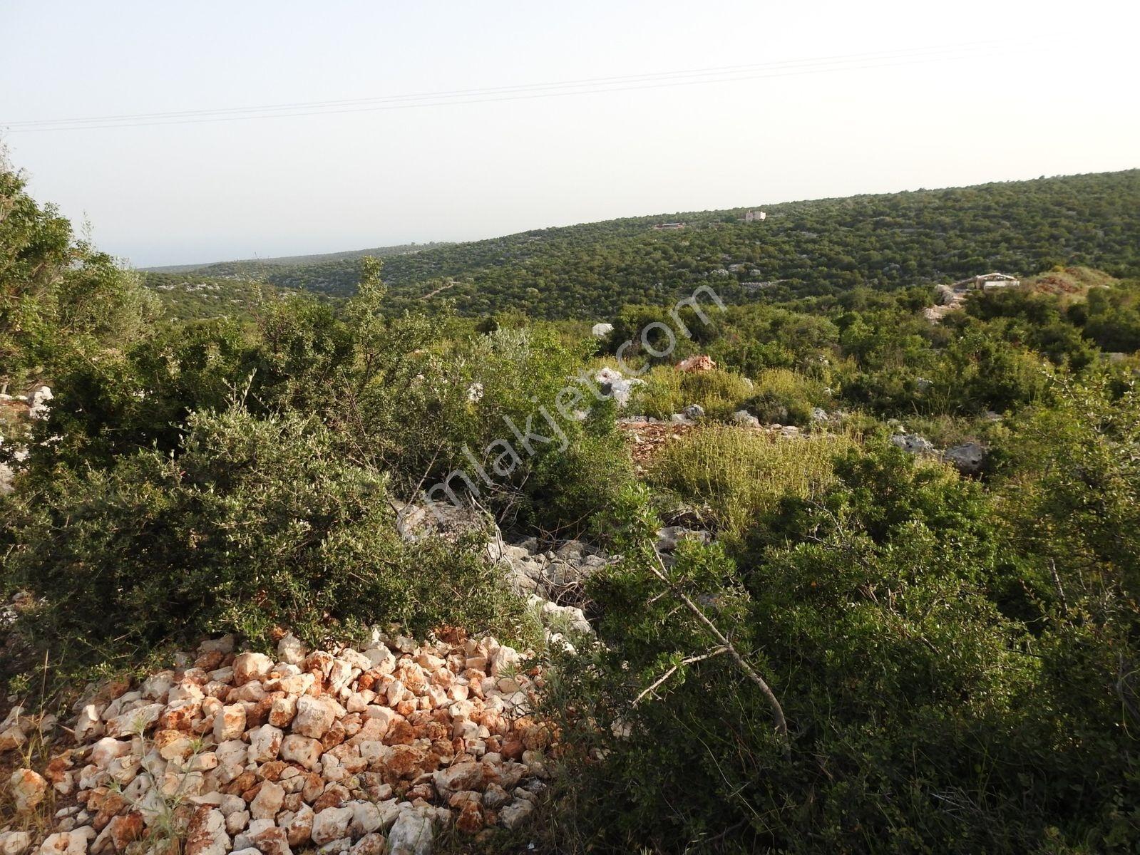 Hüseyinler De Deniz Manzaralı Yol Kenarı Satılık 3730 M2 Tarla!!! — fotoğraf 11
