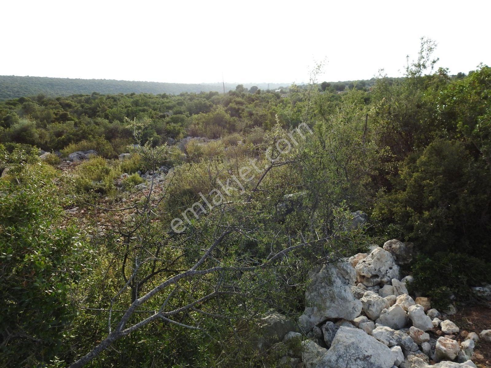 Hüseyinler De Deniz Manzaralı Yol Kenarı Satılık 3730 M2 Tarla!!! — fotoğraf 12