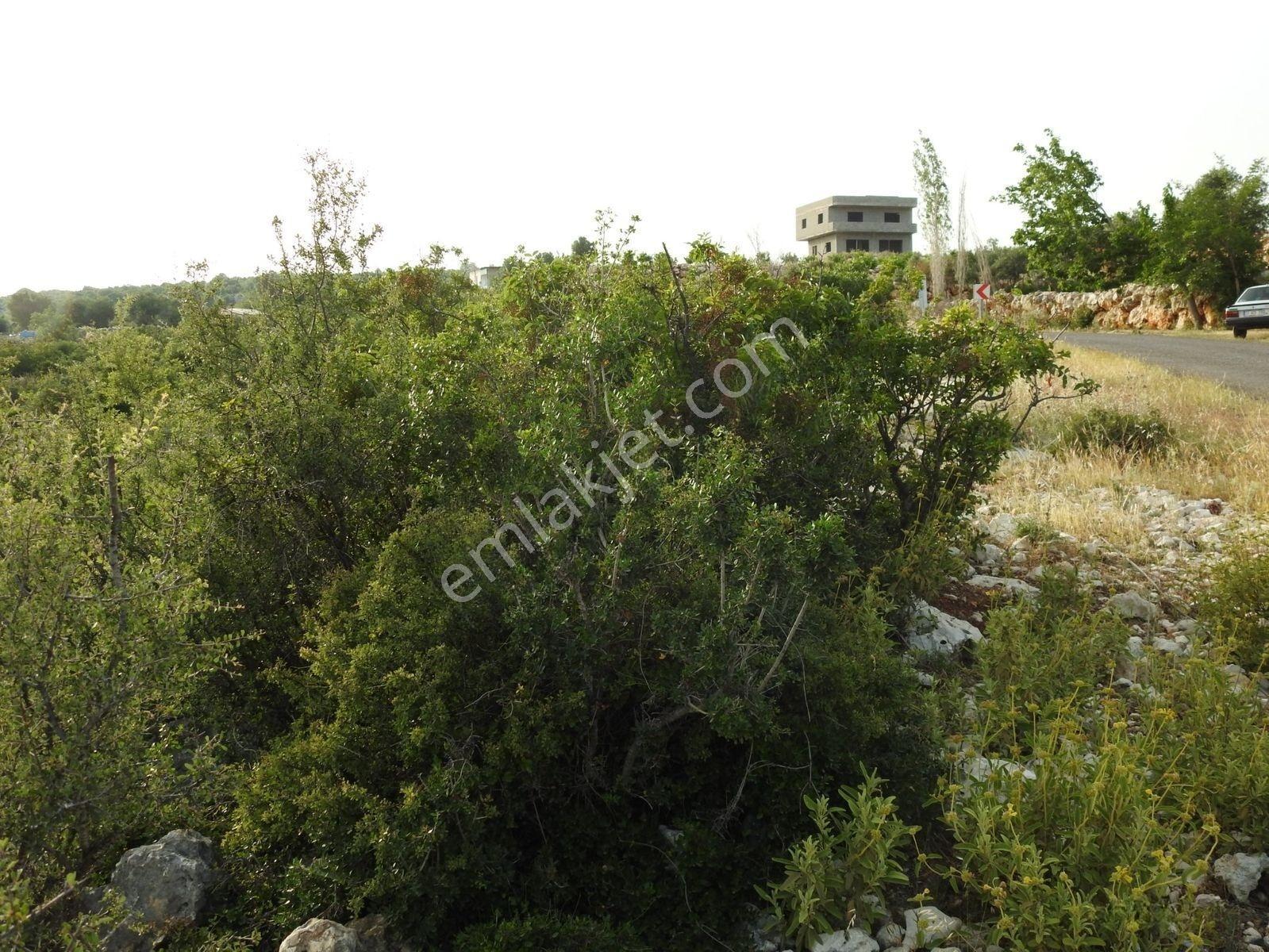 Hüseyinler De Deniz Manzaralı Yol Kenarı Satılık 3730 M2 Tarla!!! — fotoğraf 13