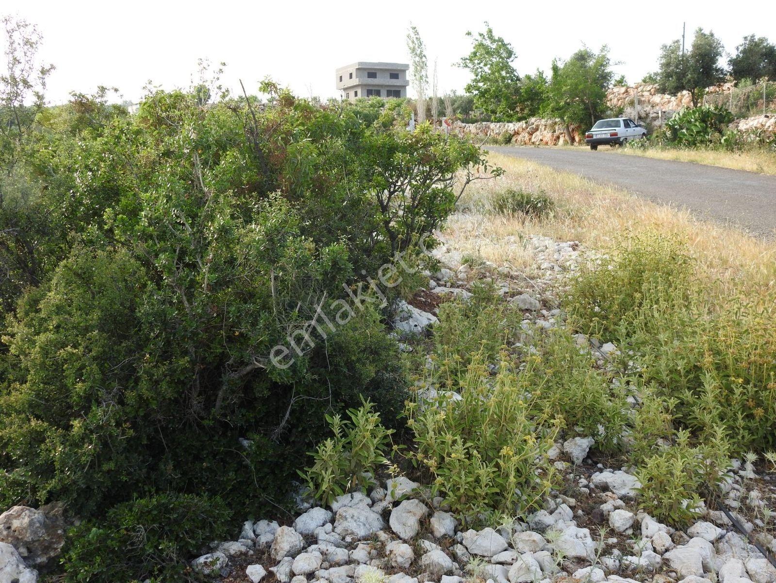 Hüseyinler De Deniz Manzaralı Yol Kenarı Satılık 3730 M2 Tarla!!! — fotoğraf 14