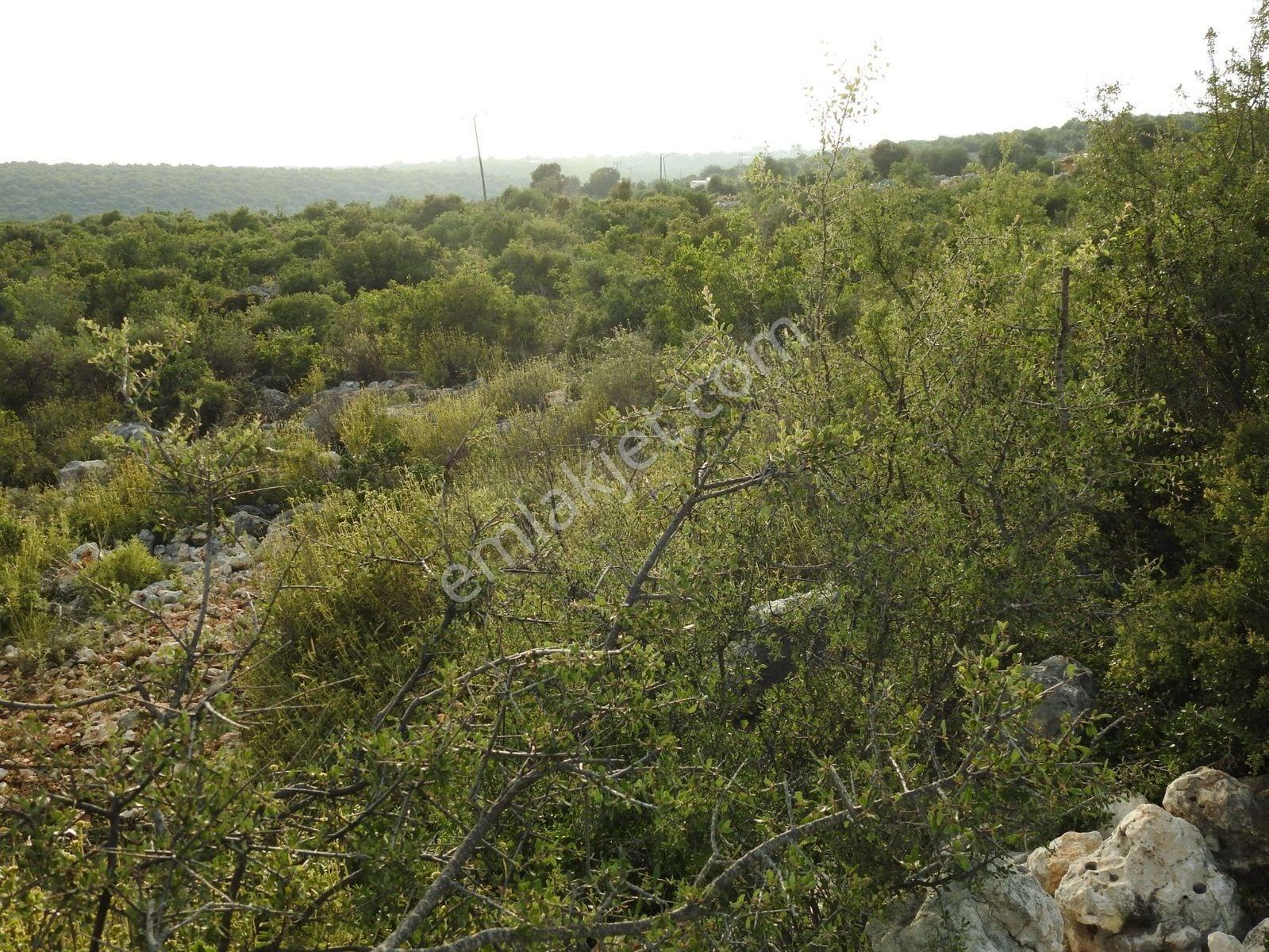Hüseyinler De Deniz Manzaralı Yol Kenarı Satılık 3730 M2 Tarla!!! — fotoğraf 15