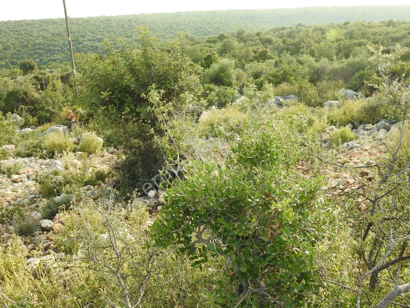 Hüseyinler De Deniz Manzaralı Yol Kenarı Satılık 3730 M2 Tarla!!! — fotoğraf 16