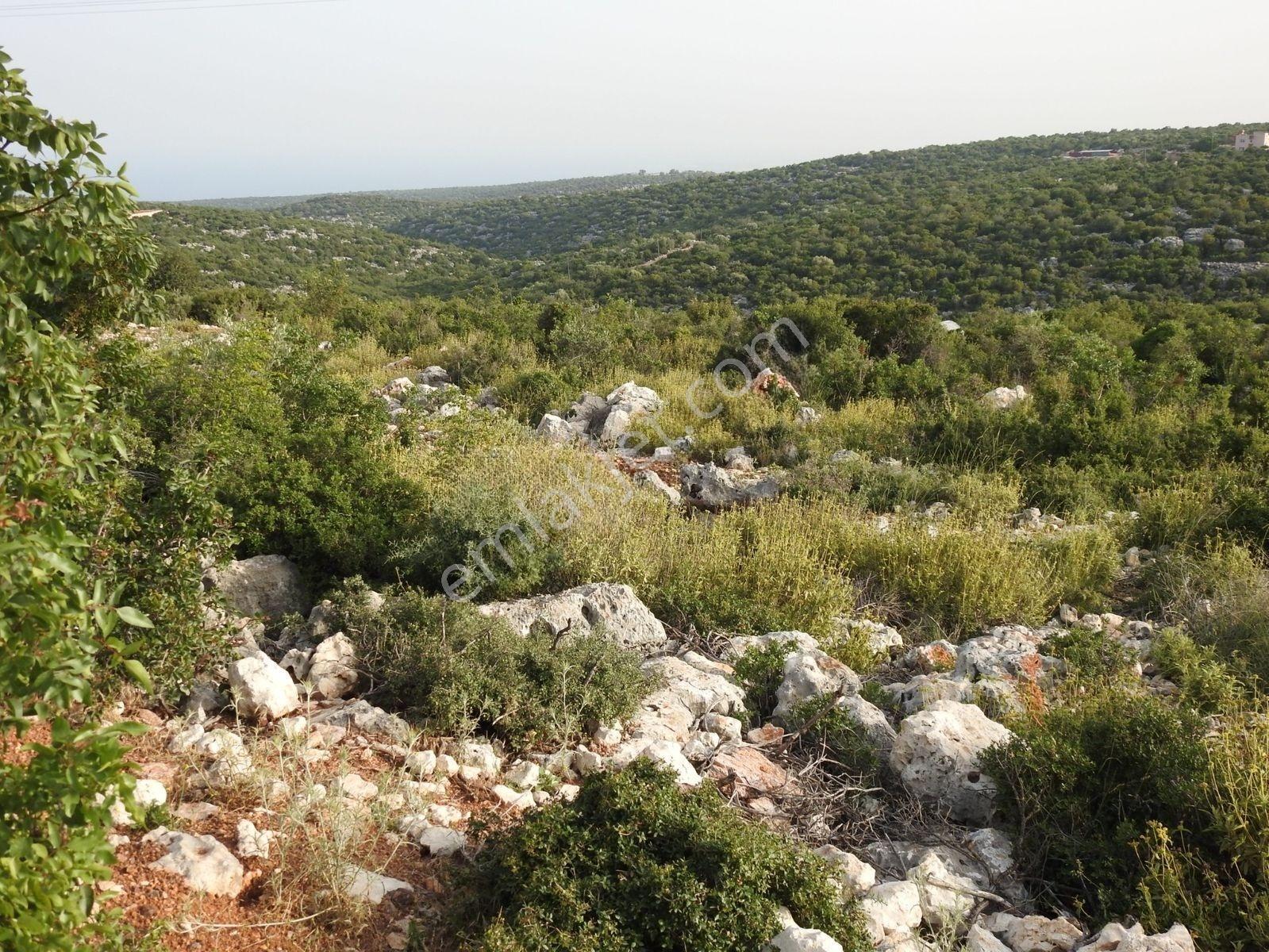 Hüseyinler De Deniz Manzaralı Yol Kenarı Satılık 3730 M2 Tarla!!! — fotoğraf 17