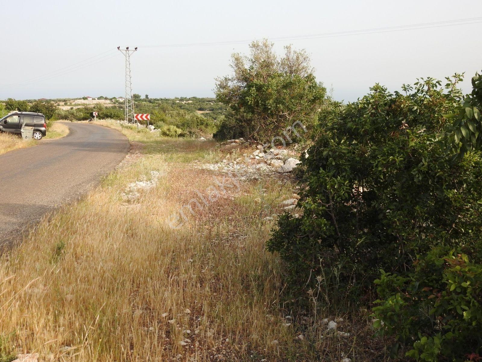 Hüseyinler De Deniz Manzaralı Yol Kenarı Satılık 3730 M2 Tarla!!! — fotoğraf 18
