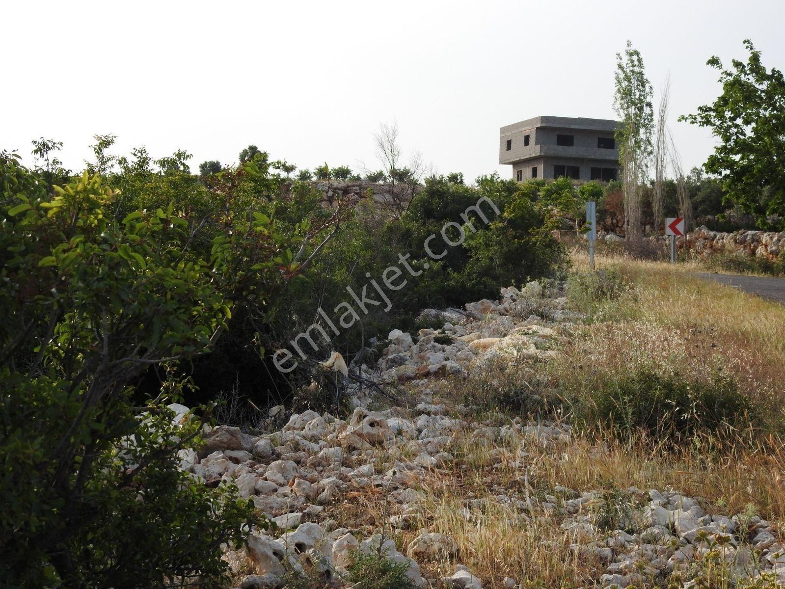 Hüseyinler De Deniz Manzaralı Yol Kenarı Satılık 3730 M2 Tarla!!! — fotoğraf 20