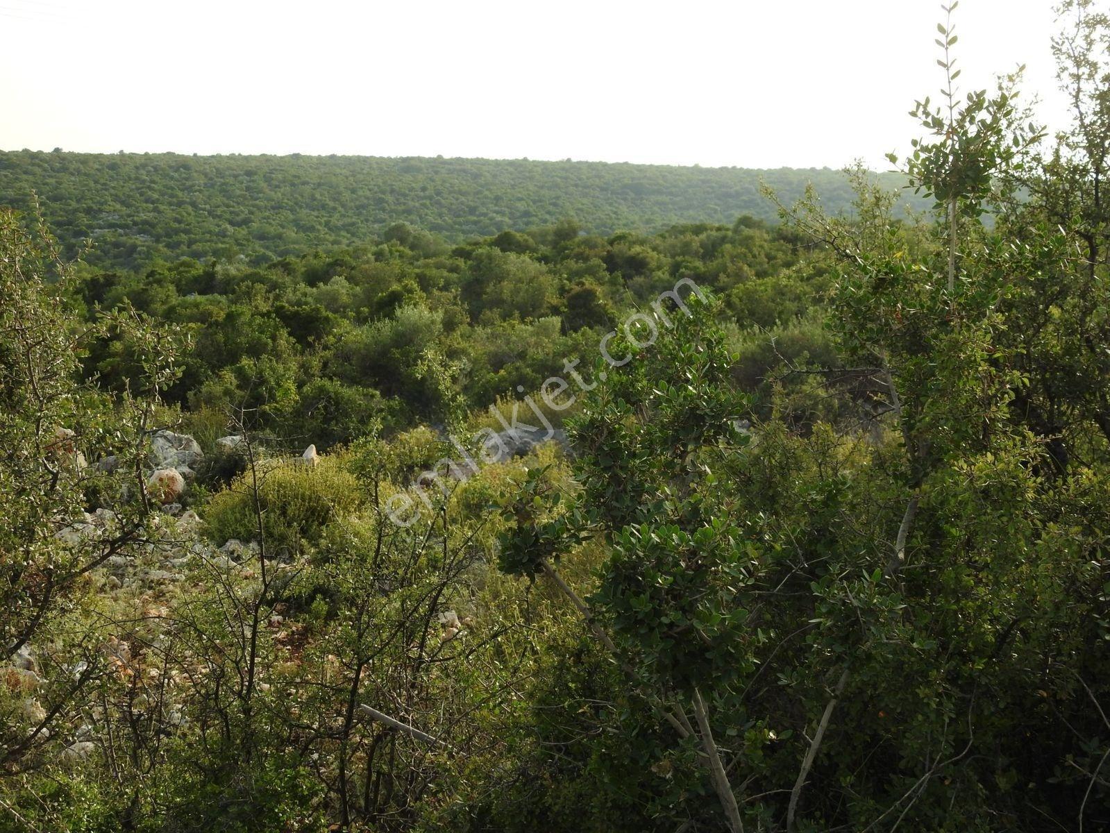 Hüseyinler De Deniz Manzaralı Yol Kenarı Satılık 3730 M2 Tarla!!! — fotoğraf 21