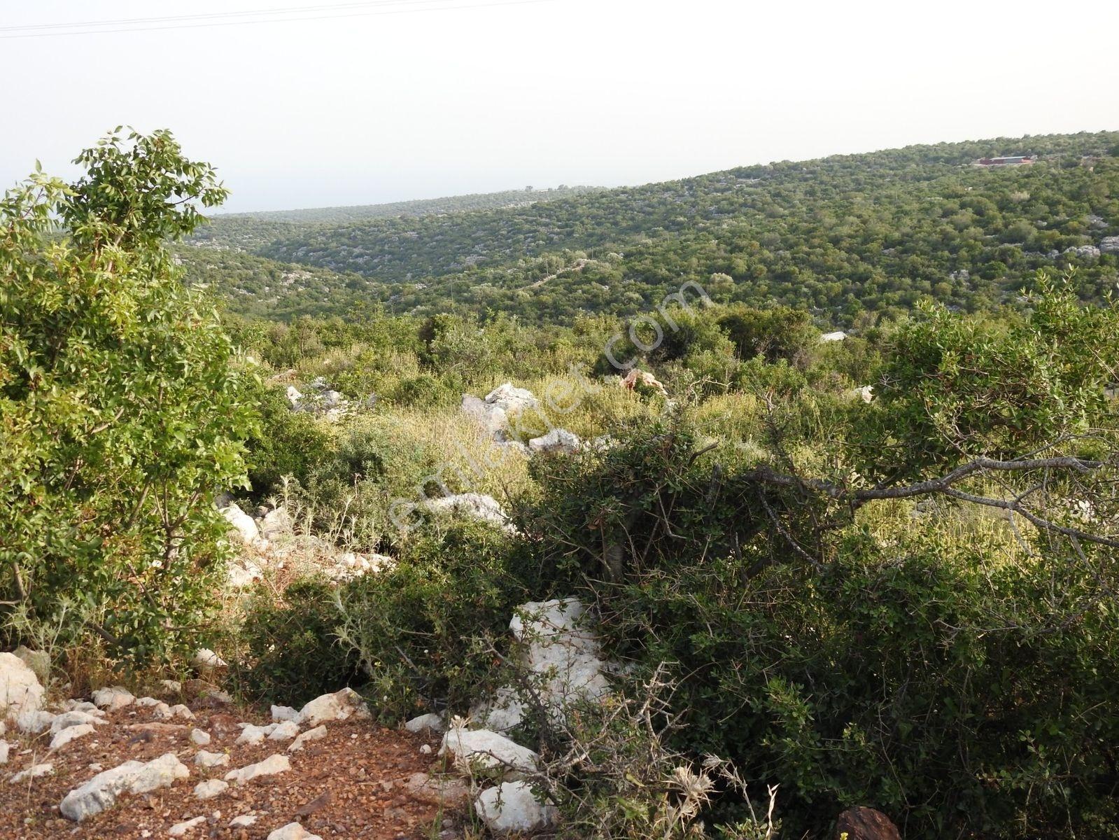 Hüseyinler De Deniz Manzaralı Yol Kenarı Satılık 3730 M2 Tarla!!! — fotoğraf 24