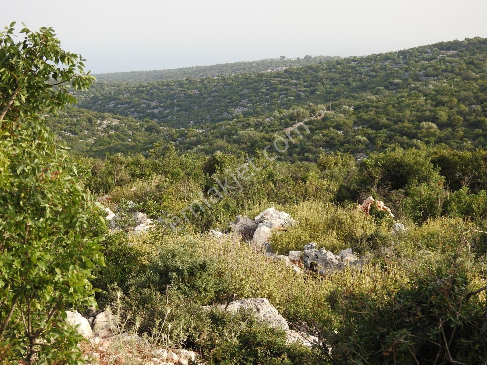 Hüseyinler De Deniz Manzaralı Yol Kenarı Satılık 3730 M2 Tarla!!! — fotoğraf 25