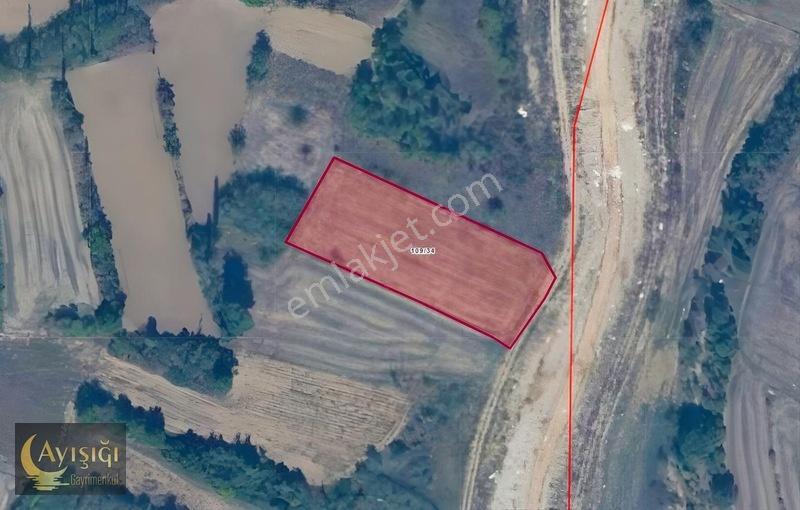 Bilecik Yenipazar Selim Köyün 'de Satılık 2.428 M2 Arsa.