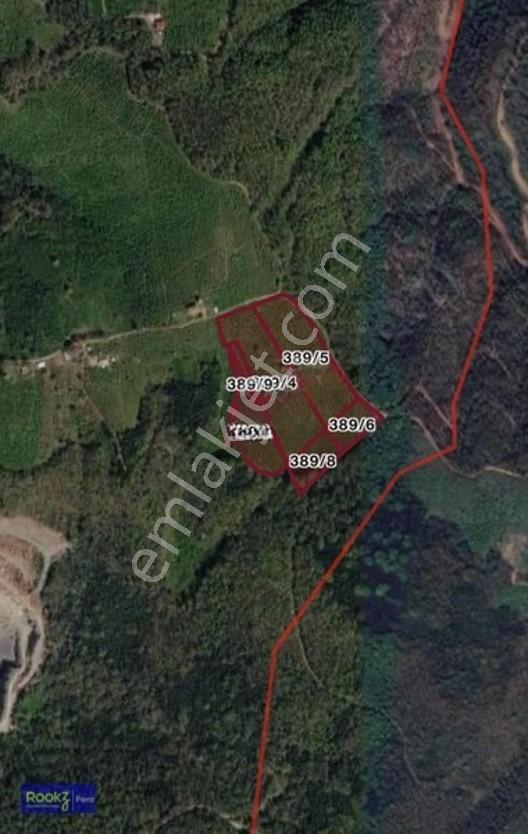 Ferizli Osb Genişletilmiş Alan İçerisinde Fındıklık