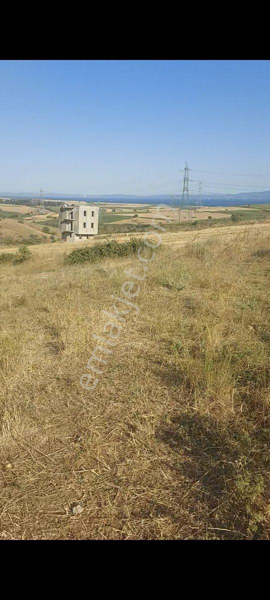Gelibolu Bolayırda Müstakil Tapulu Deniz Manzaralı Arsa — fotoğraf 3