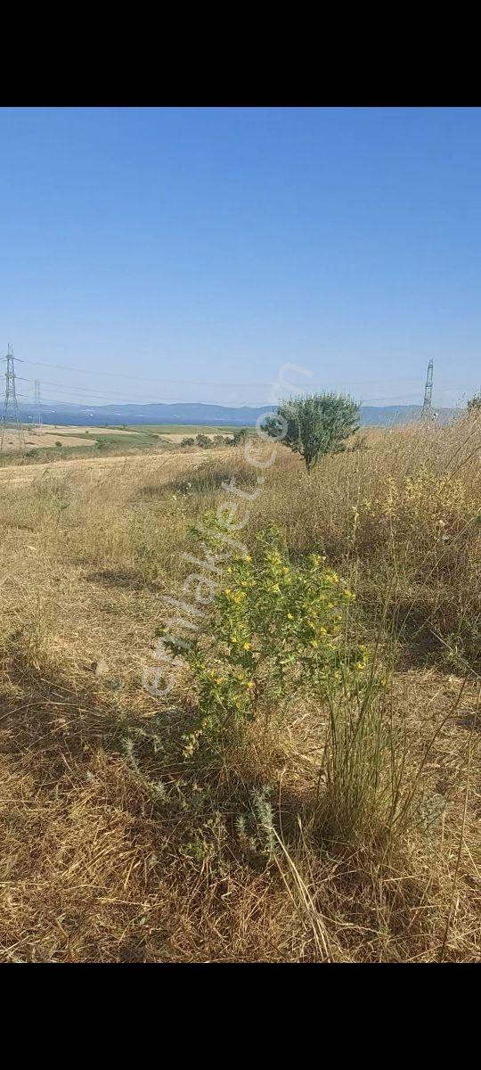 Gelibolu Bolayırda Müstakil Tapulu Deniz Manzaralı Arsa — fotoğraf 4